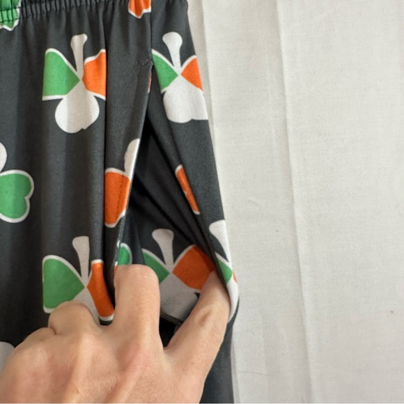 Bioworld Mens Irish Flag Shamrock Clover Print Pajama Loungewear Pants Medium - Picture 4 of 6